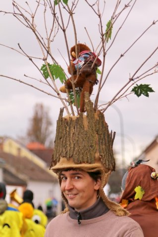 Faschingsumzug 2023 (Fotos Rochus Hetzendorfer)